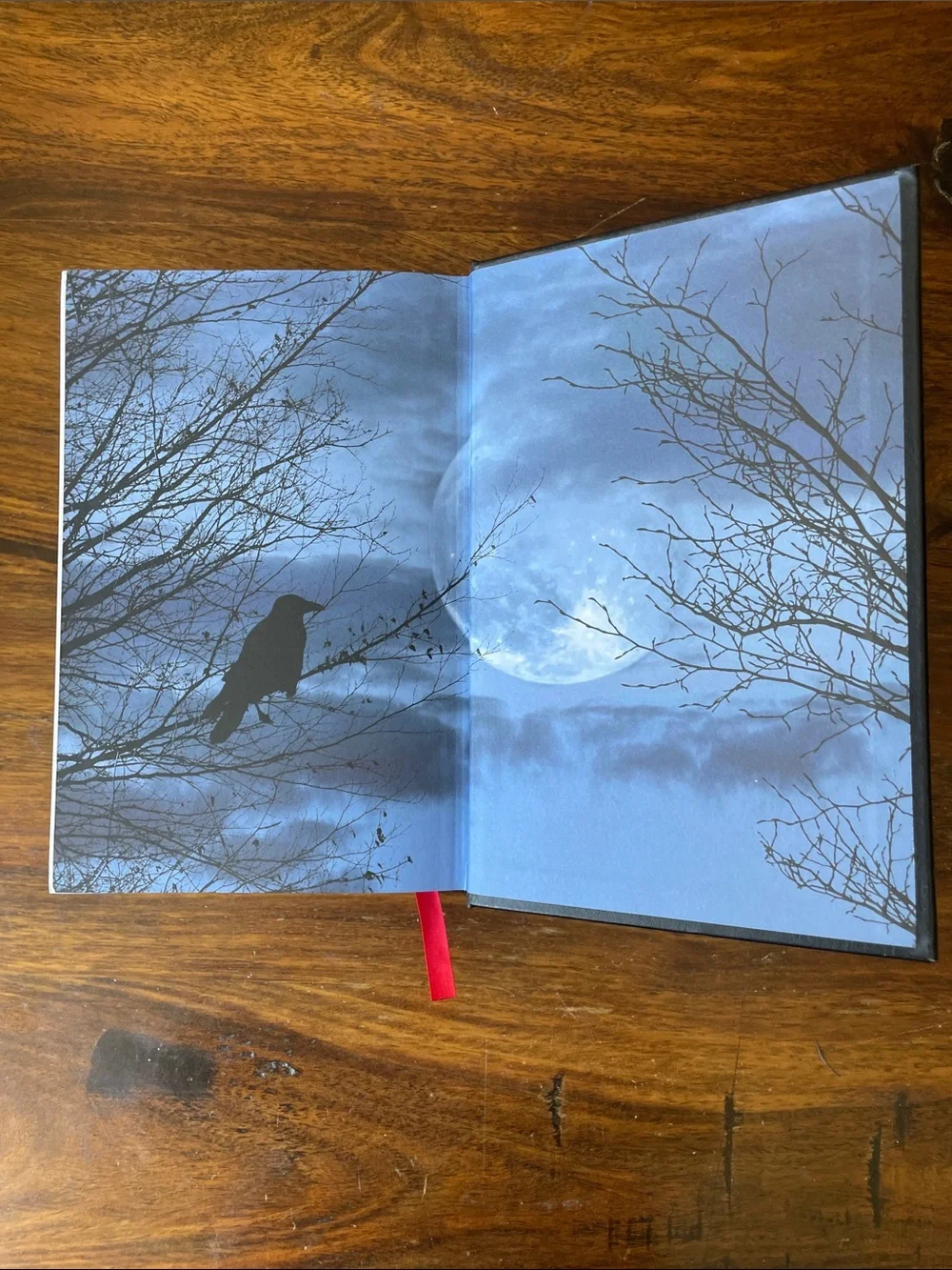Edgar Allan Poe Black Hardcover Embossed Book Complete Tales & Poems Raven
